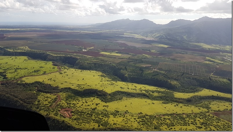 Blue Hawaiian Helicopter flight