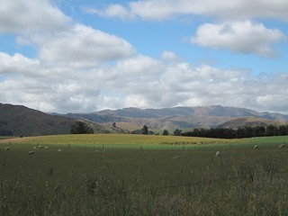 IMG_0938 IMG_0938