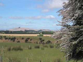 IMG_0947 IMG_0947