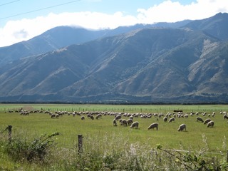 IMG_0877 IMG_0877