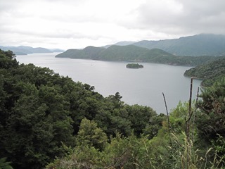 IMG_0908 IMG_0908