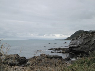 IMG_0910 IMG_0910