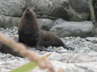 IMG_0912 IMG_0912