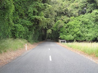 IMG_0845 IMG_0845