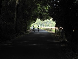 IMG_0852 IMG_0852
