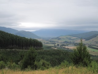 IMG_0862 IMG_0862