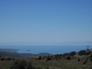 IMG_0823 IMG_0823