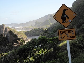 IMG_0772 IMG_0772