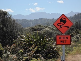 IMG_0795 IMG_0795