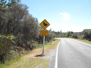 IMG_0799 IMG_0799