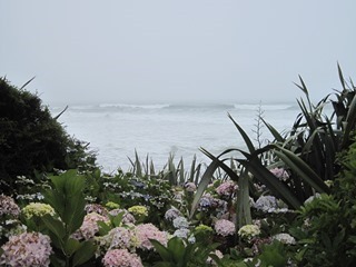 IMG_0687_thumb IMG_0687_thumb