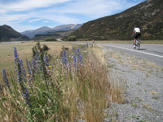 IMG_0656 IMG_0656