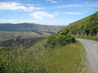 IMG_0595 IMG_0595