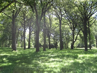 IMG_0565 IMG_0565