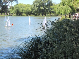 IMG_0569 IMG_0569