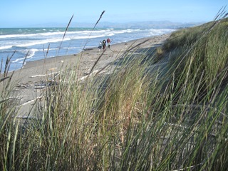 IMG_0573 IMG_0573
