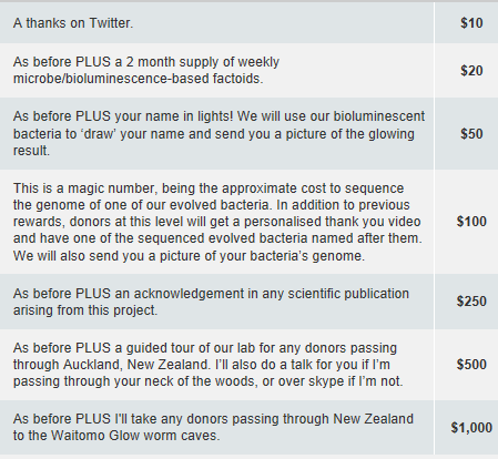 Siouxsie_Rewards Siouxsie_Rewards