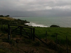 Towards Ruakaka Towards Ruakaka