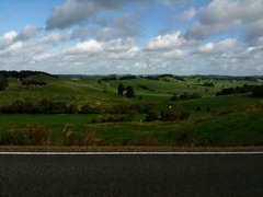 IMG_0525 IMG_0525