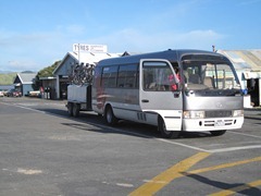 IMG_8241 IMG_8241