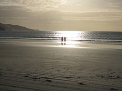 IMG_8314 IMG_8314