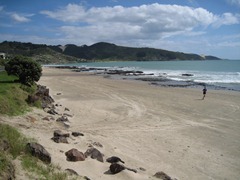 IMG_8273 IMG_8273