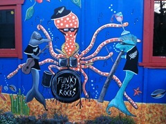 Funky Fish Funky Fish