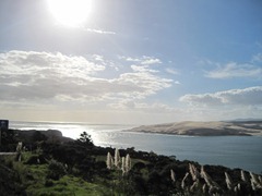 Hokianga Heads Hokianga Heads