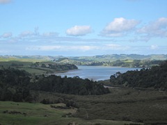 IMG_8126 IMG_8126