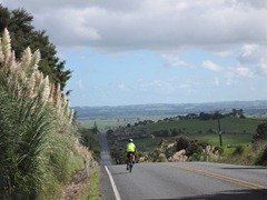 Heading towards Ruawai Heading towards Ruawai
