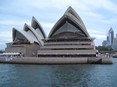 IMG_3195 IMG_3195