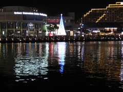 IMG_3232 IMG_3232