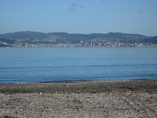 Wellington on a nice Monday morning