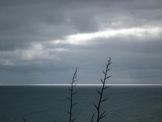 North from Muriwai North from Muriwai