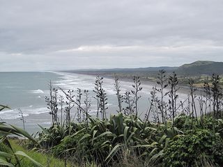 North from Muriwai North from Muriwai