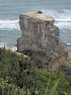 Last of the Gannets Last of the Gannets