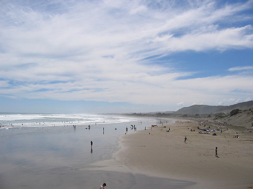 Muriwai, on a busy day