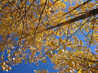 Autumn is here Autumn is here