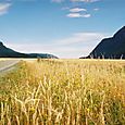 Towards Te Anau