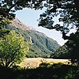 Routeburn Flats