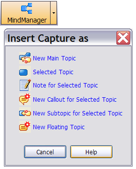 SnagIt2MindManager