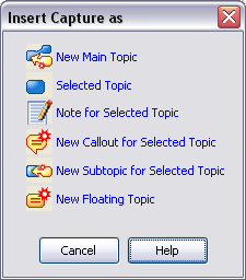 SnagitMindManagerTopic