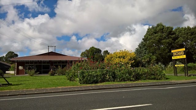 Photo of orchard building, sign and trees taken from the road on a summer day. Dragicevich and Sons Orchard Shop is a cherished family-run business located in Oratia, West Auckland. Established in the 1950s by Mate Dragicevich, the orchard has been a staple in the community for decades. The Dragicevich family has a rich history of fruit growing, with roots tracing back to Croatia.  The orchard, located at 556 West Coast Road, spans 27 acres and is known for producing high-quality apples, pears, plums, and other seasonal fruits. Over the years, the orchard has become a beloved local landmark, symbolizing the hard work and dedication of the Dragicevich family.