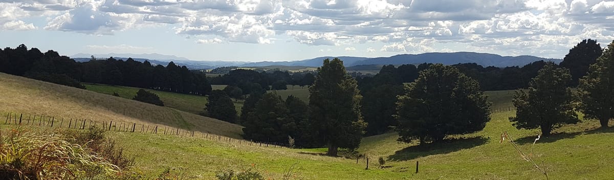 Northland Twin Coast Trail Cycle 5 | Russell to Kaikohe, via Kerikeri