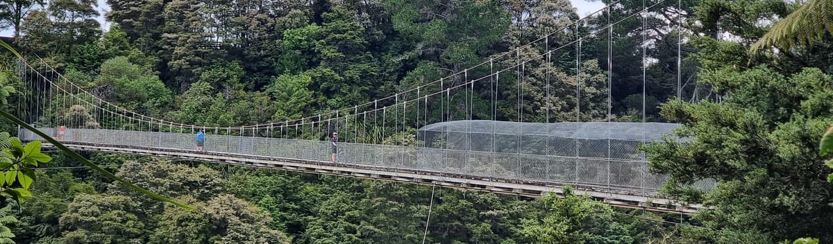 Waikato River Trail | Karāpiro to Arapuni & Jones Landing | Time Out 2021-22 Waikato