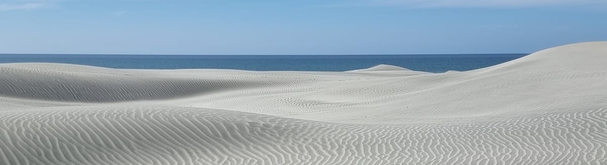 Hello Farewell Spit | Time Out 2021-22 Golden Bay Bus