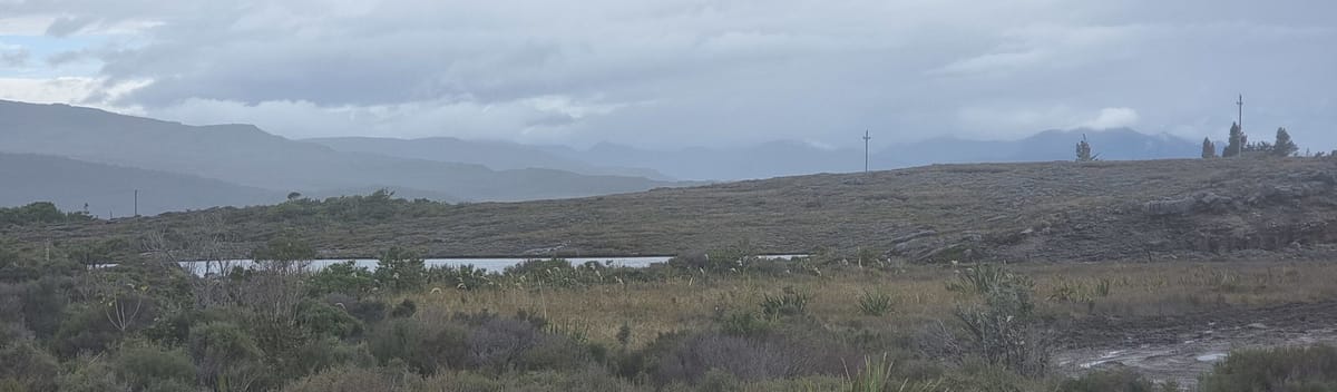 SAY NO to mining Denniston Plateau