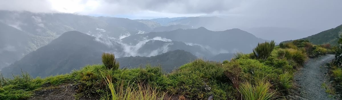 Paparoa Track in a day | Time Out 2021-22 West Coast