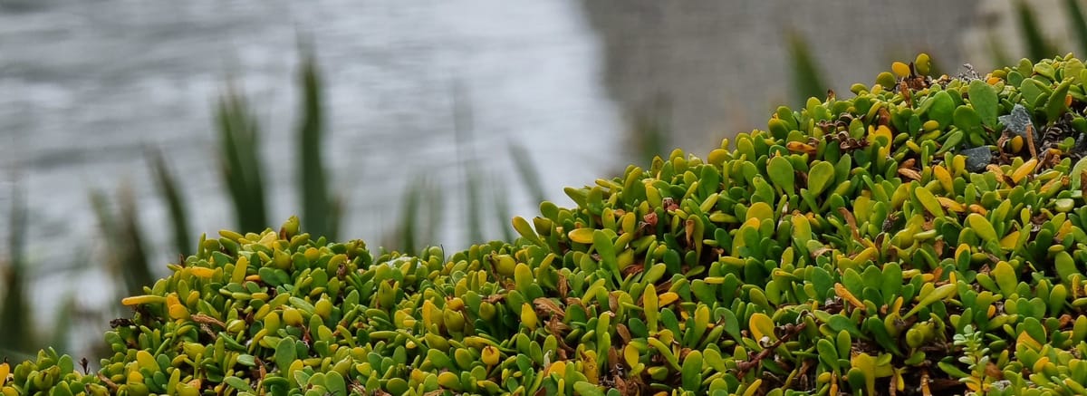 Punakaiki to Westport | Time Out 2021-22 West Coast Drive