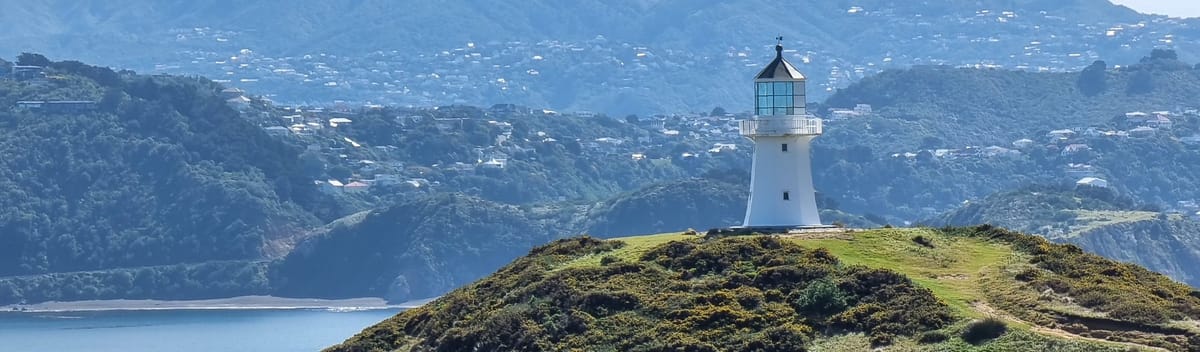 Pencarrow Head and Hutt River Trail | Time Out 2021-22 Wellington
